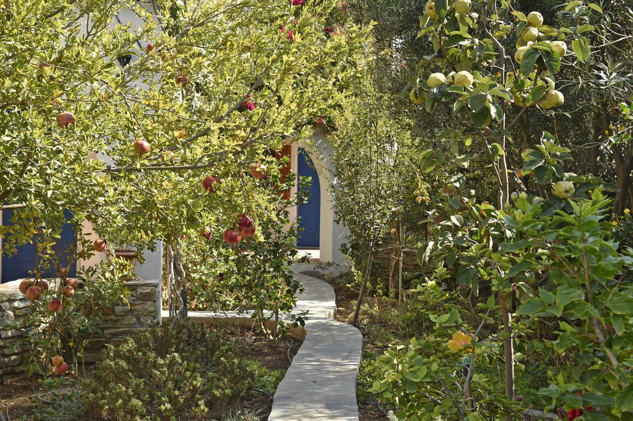 Hippocampus Studios Antiparos Exterior photo