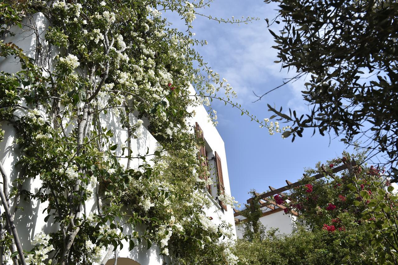 Hippocampus Studios Antiparos Exterior photo