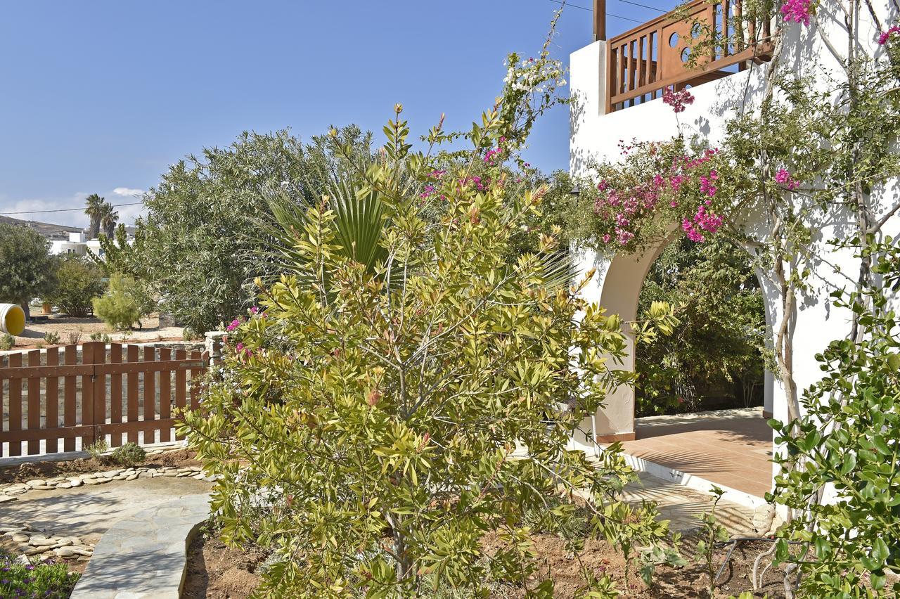 Hippocampus Studios Antiparos Exterior photo